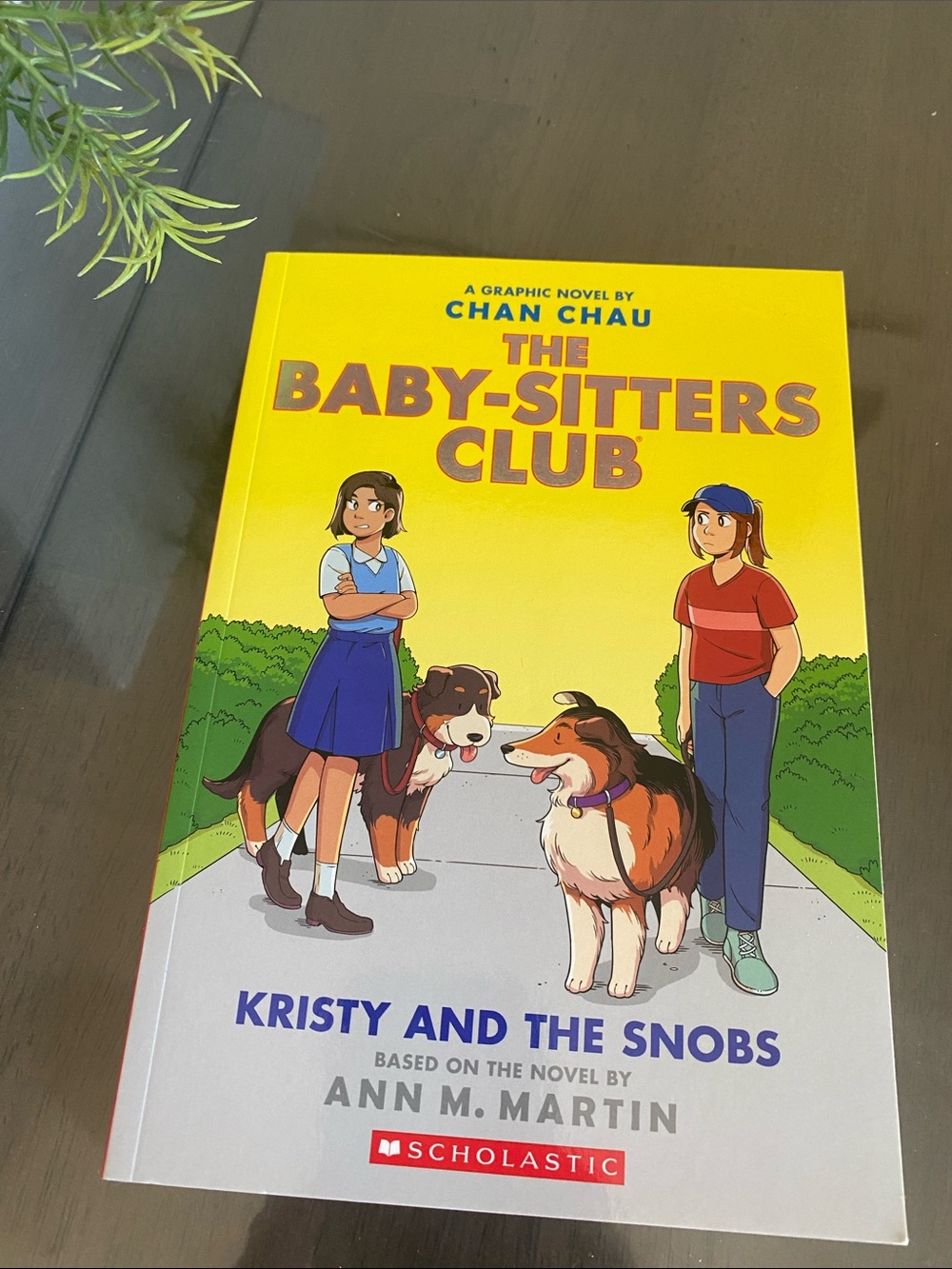 NEW🌈 The Babysitters Club Book Graphics Novel by Ann M. Martin